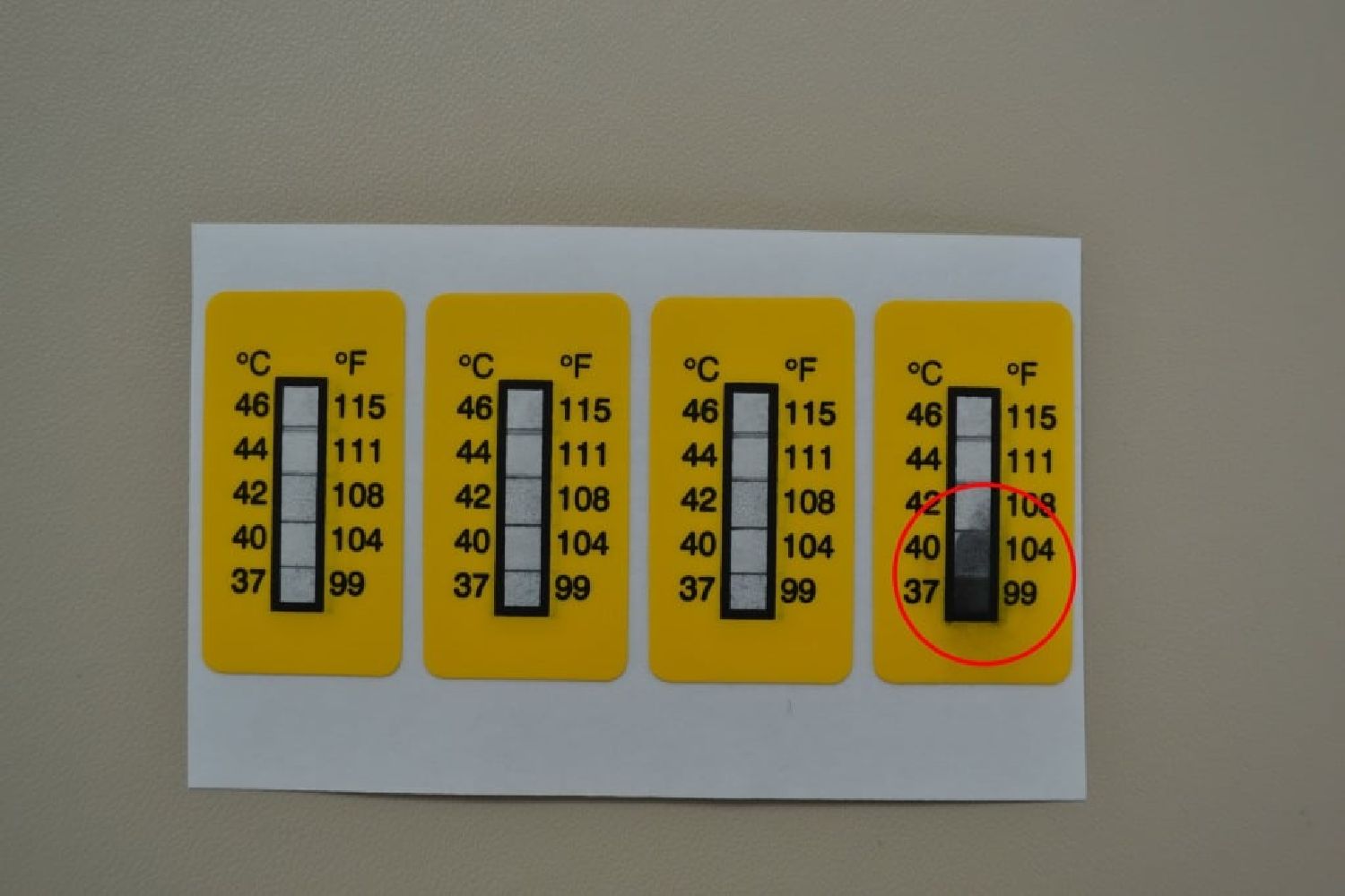 Sicherheitsplomben 37-46° Satz mit 4 Stück